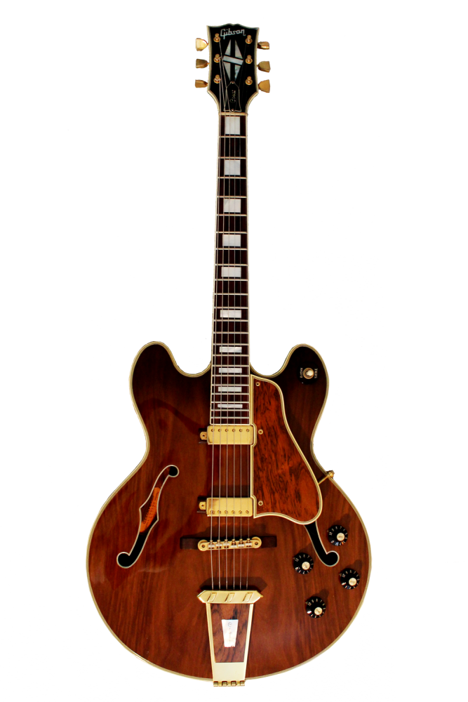 Silver Lake Vintage Guitars