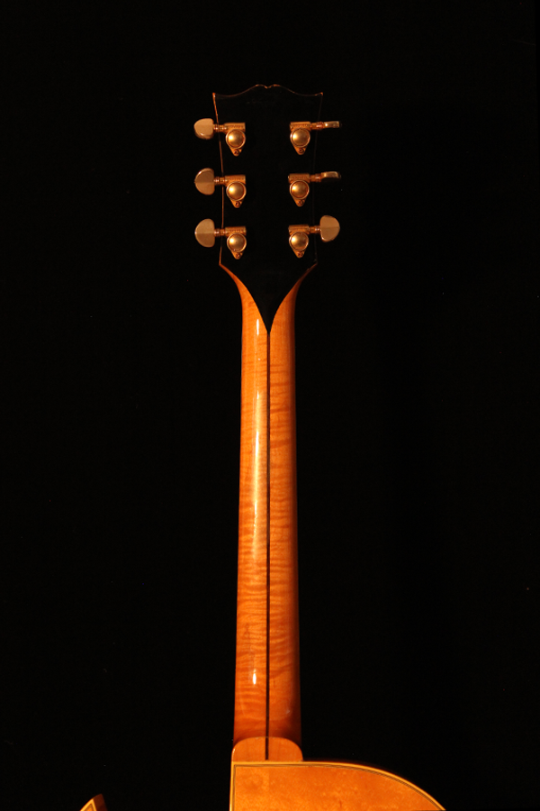 {gallery_alt_6}